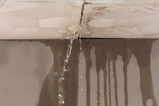 Professional Water Extraction technician working in Lena, MS